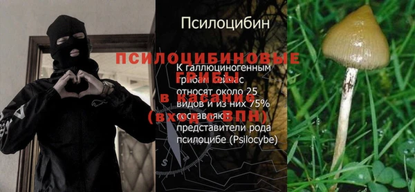 apvp Алексин